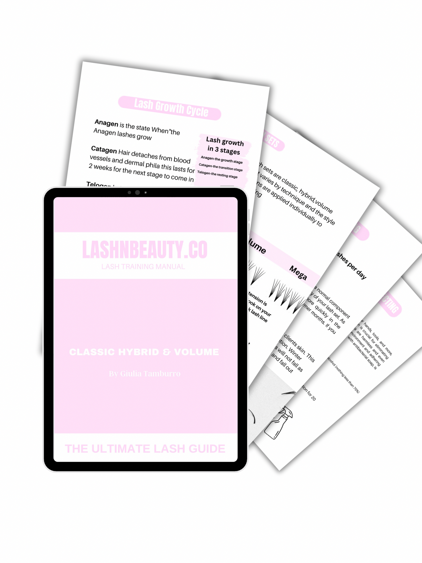 Dfy Training Manual