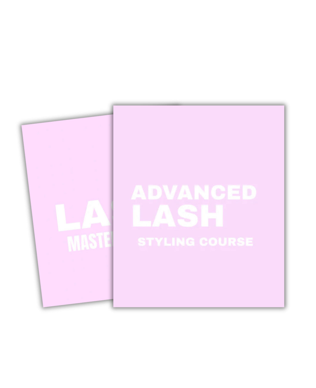 The Ultimate Lash Artist Bundle For Beginners (3 Day Mastery + Styling Training)